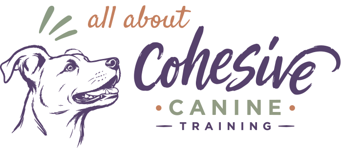 all-about-cohesive-canine